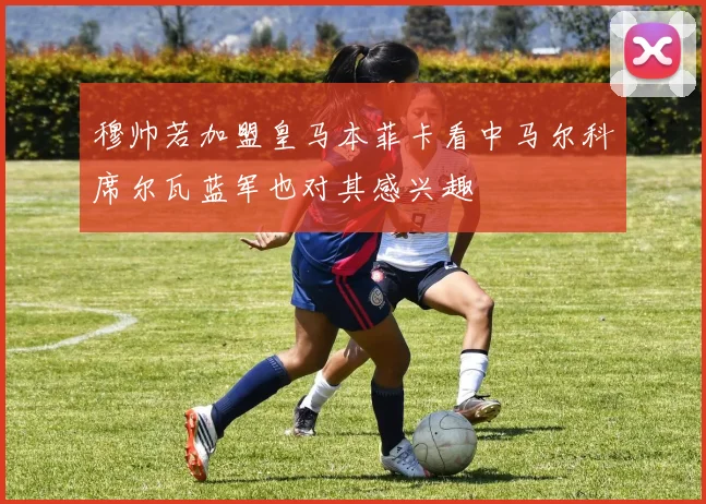 穆帅若加盟皇马本菲卡看中马尔科席尔瓦蓝军也对其感兴趣