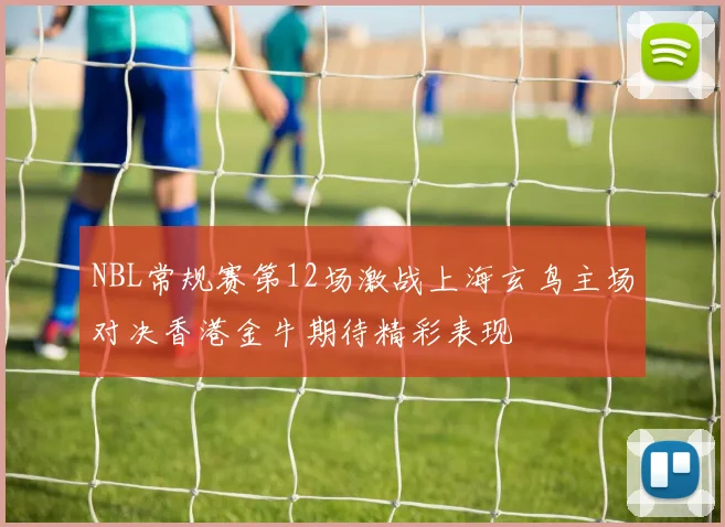 NBL常规赛第12场激战上海玄鸟主场对决香港金牛期待精彩表现